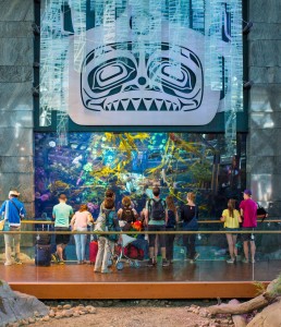 Located in the International Terminal, Level 3, the Vancouver Aquarium exhibit at YVR houses a rich collection of marine life native to B.C.